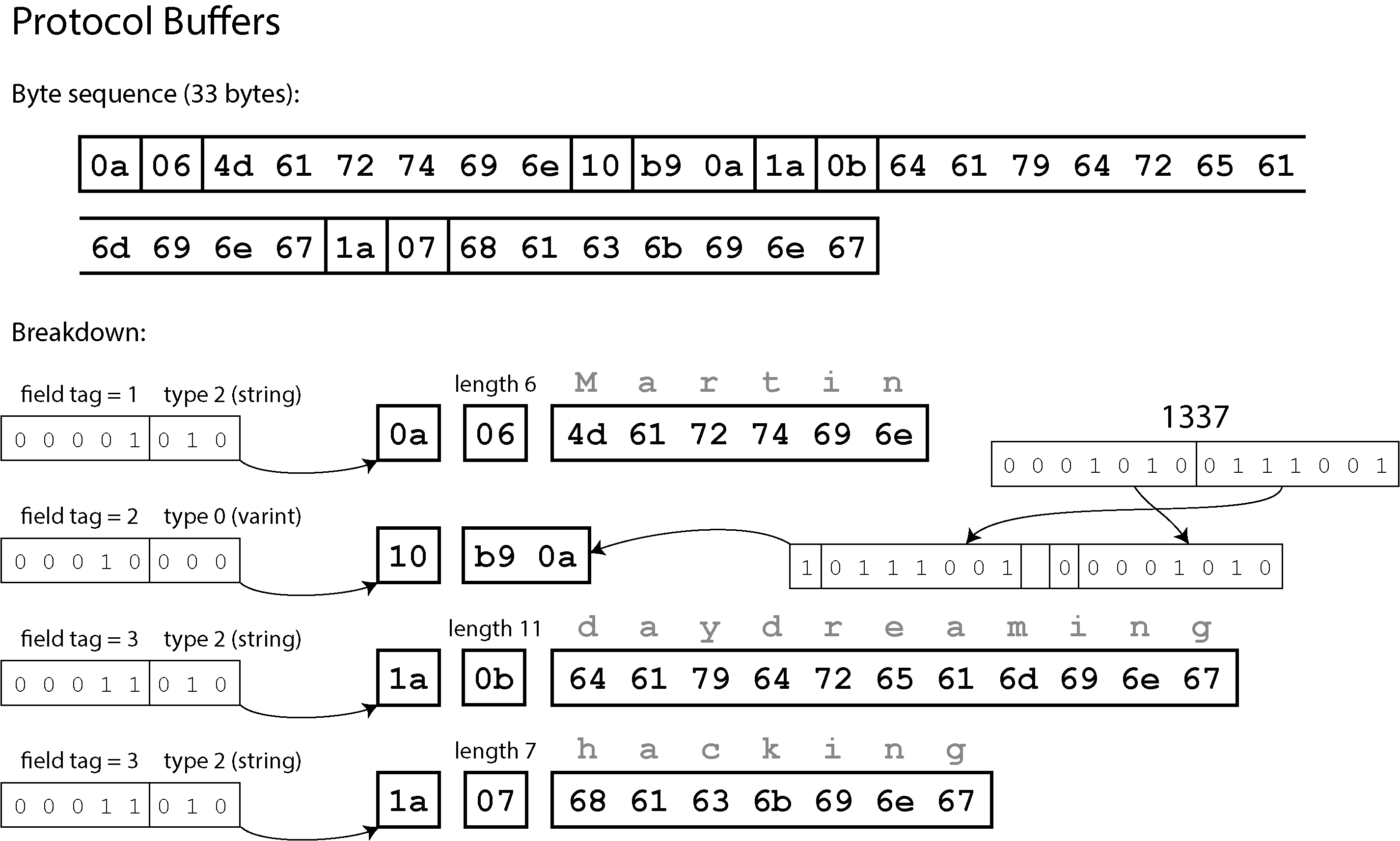 Diagram illustrating an example record encoded using Protocol Buffers, showing a 33-byte sequence breakdown with field tags, data types, and lengths for strings like "Martin," "daydreaming," and "hacking."