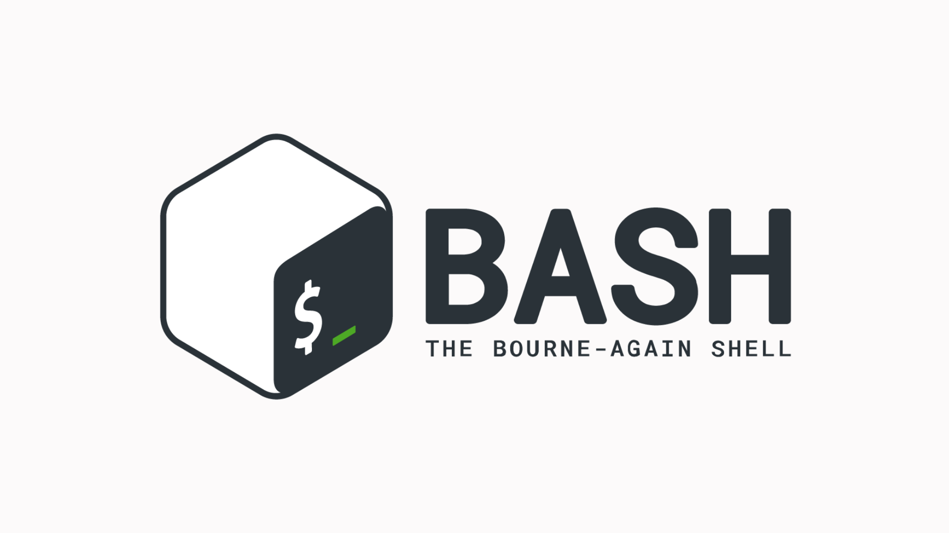 Bash: for loop